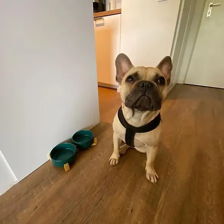 Chalet-Apartment Waldfrieden, In Ruhiger Lage Mit Tg *