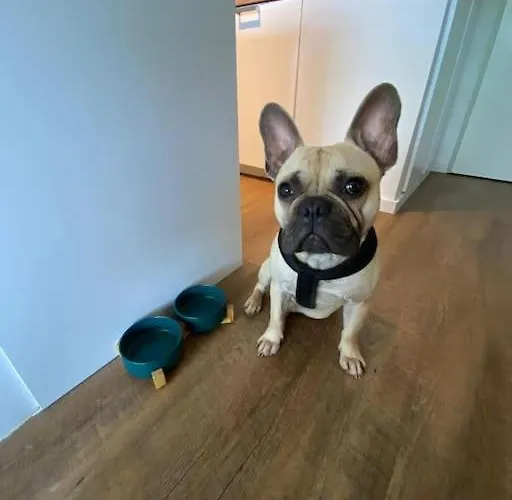 Chalet-Apartment Waldfrieden, In Ruhiger Lage Mit Tg Lägenhet Goslar